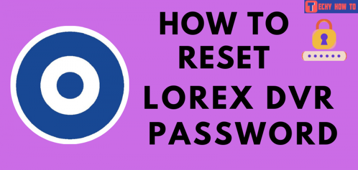 reset password lorex client 13