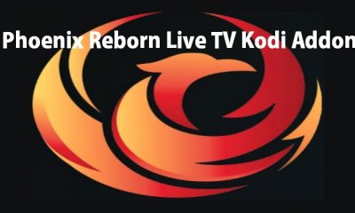 How to Install Joker Sports Kodi Addon  2021  - 62