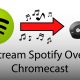 How A Beginner Artist Can Boost Spotify Followers And Streams - 24