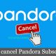 How to Get and Activate Pandora on Apple TV - 80