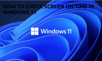 How to Update Windows 10 to Windows 11 - 77