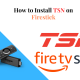 How to Watch TSN on Chromecast with Google TV - 60