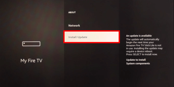 Tap on Install update option to update your Firestick device